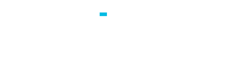 Altron Security Logo - light